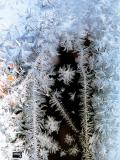 A window's crystals_2018