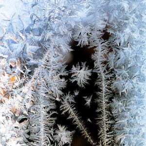 A window's crystals_2018