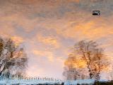 Watery reflections-Dec 2023
