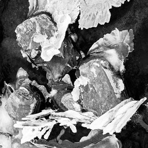 Ice nest dec 2024 