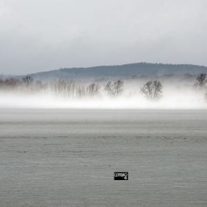 20mar20_windy fog