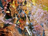 Transparent River Waters 2018