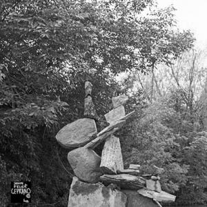 tree to stone balance