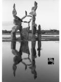 1991 cemented balance 'bird without a cage'