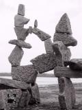 1991 uncemented balance power horse