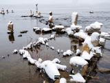 04dec24_Nature is the ruler of balance