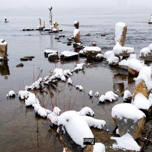04dec24_Nature is the ruler of balance