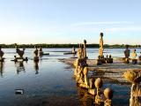 07aug24_sunset spaces 