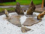 Falcon Wings on Turtle Island 