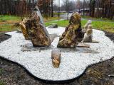 Falcon Wings Rising on Turtle Island 
